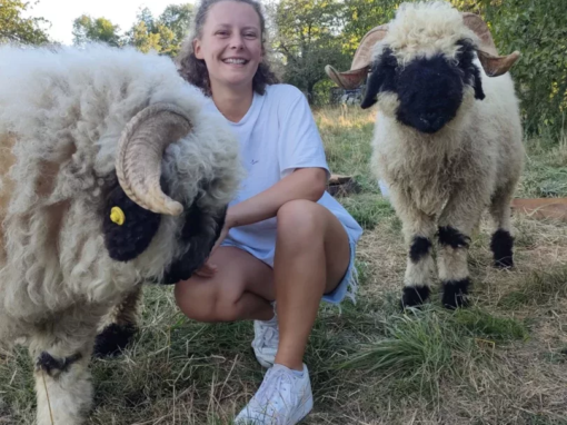 Femme souriante à genoux avec deux moutons à côté d'elle dans un champ.