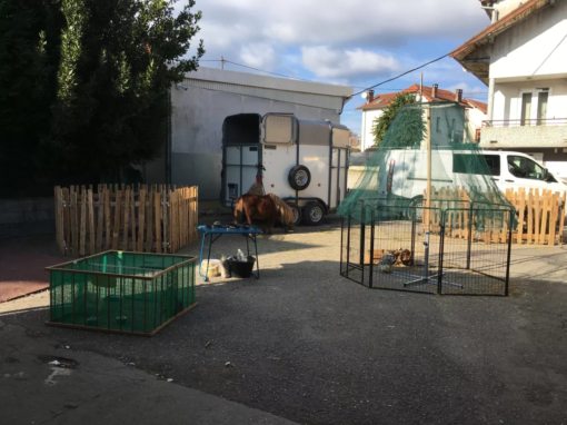 Espace extérieur avec un enclos en métal et un animal à proximité d'une remorque.